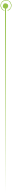 Vertical Line